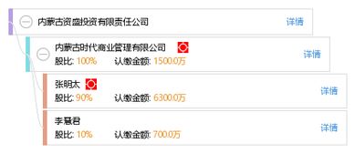 內(nèi)蒙古資盛投資有限責(zé)任公司