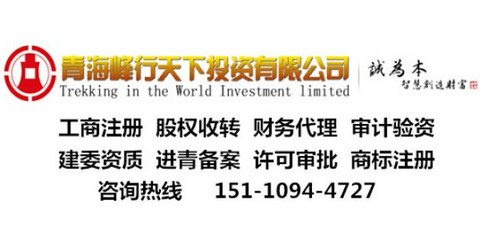 青海成立集團公司的好處和條件