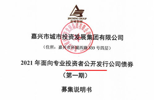 嘉城集團擬發行15億公司債券 存盈利對政府補助依賴較高風險